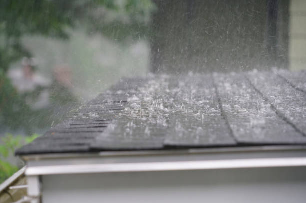 Best Metal Roofing Installation  in Bay City, MI